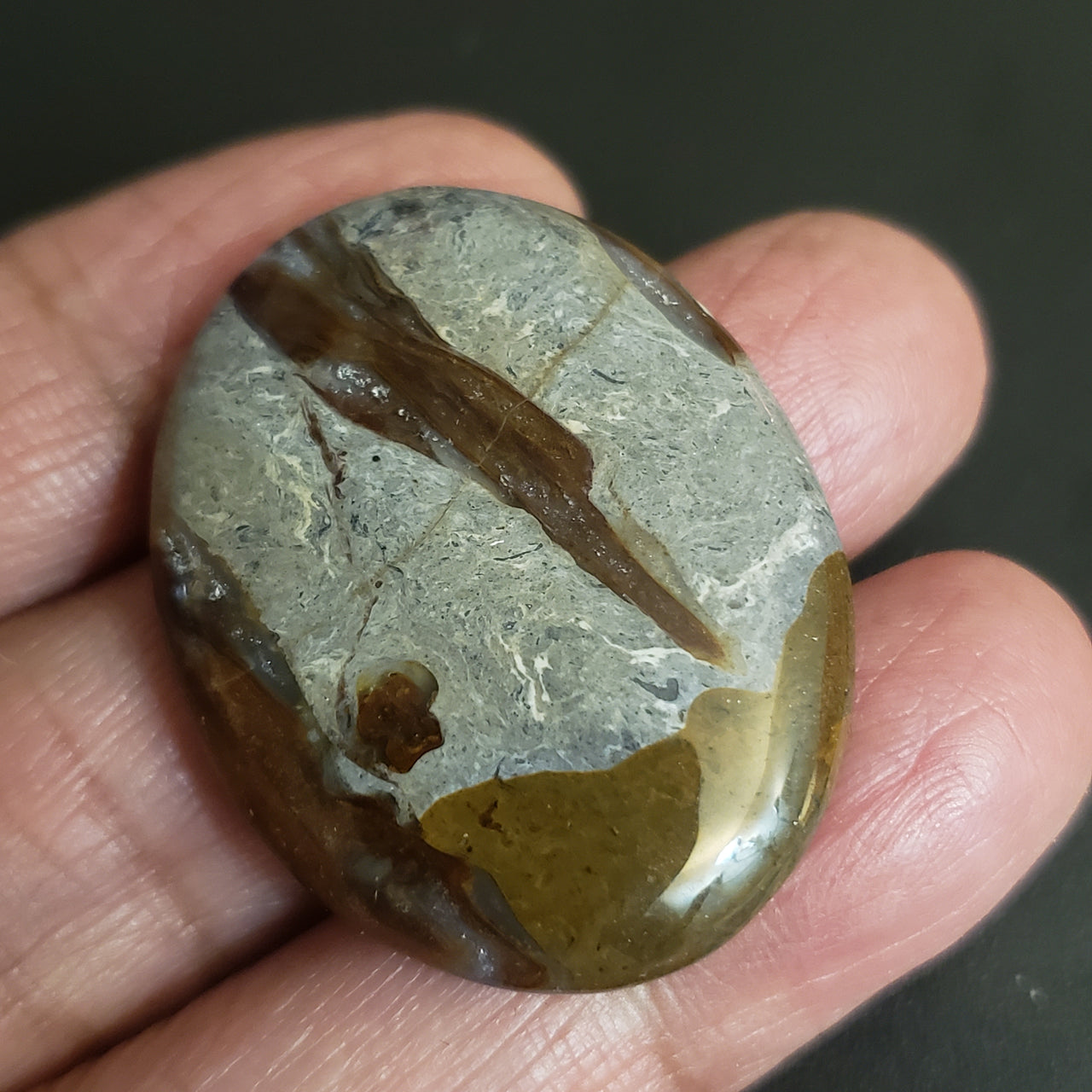 Natural Colus Fossil Agate Cabochon. Size- 37x29mm